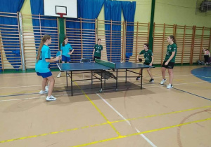 tenis stołowy