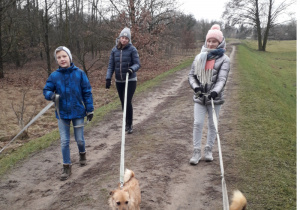 wyprowadzają czworonogi na spacer