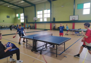 tenis stołowy