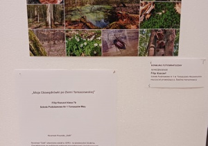 Uczeń szkoły - Filip - wyróżnienie w konkursie