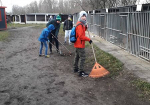 pomagamy sprzątać schronisko